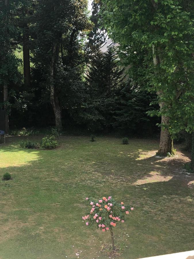 サン・シル・シュル・ロワール La Grande Carree Bed & Breakfast エクステリア 写真