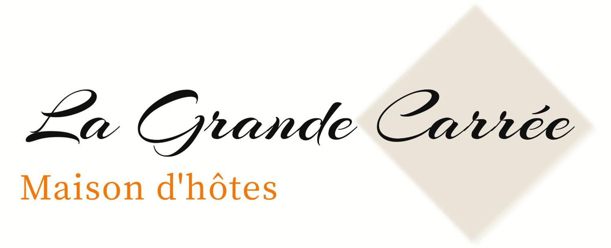 サン・シル・シュル・ロワール La Grande Carree Bed & Breakfast エクステリア 写真