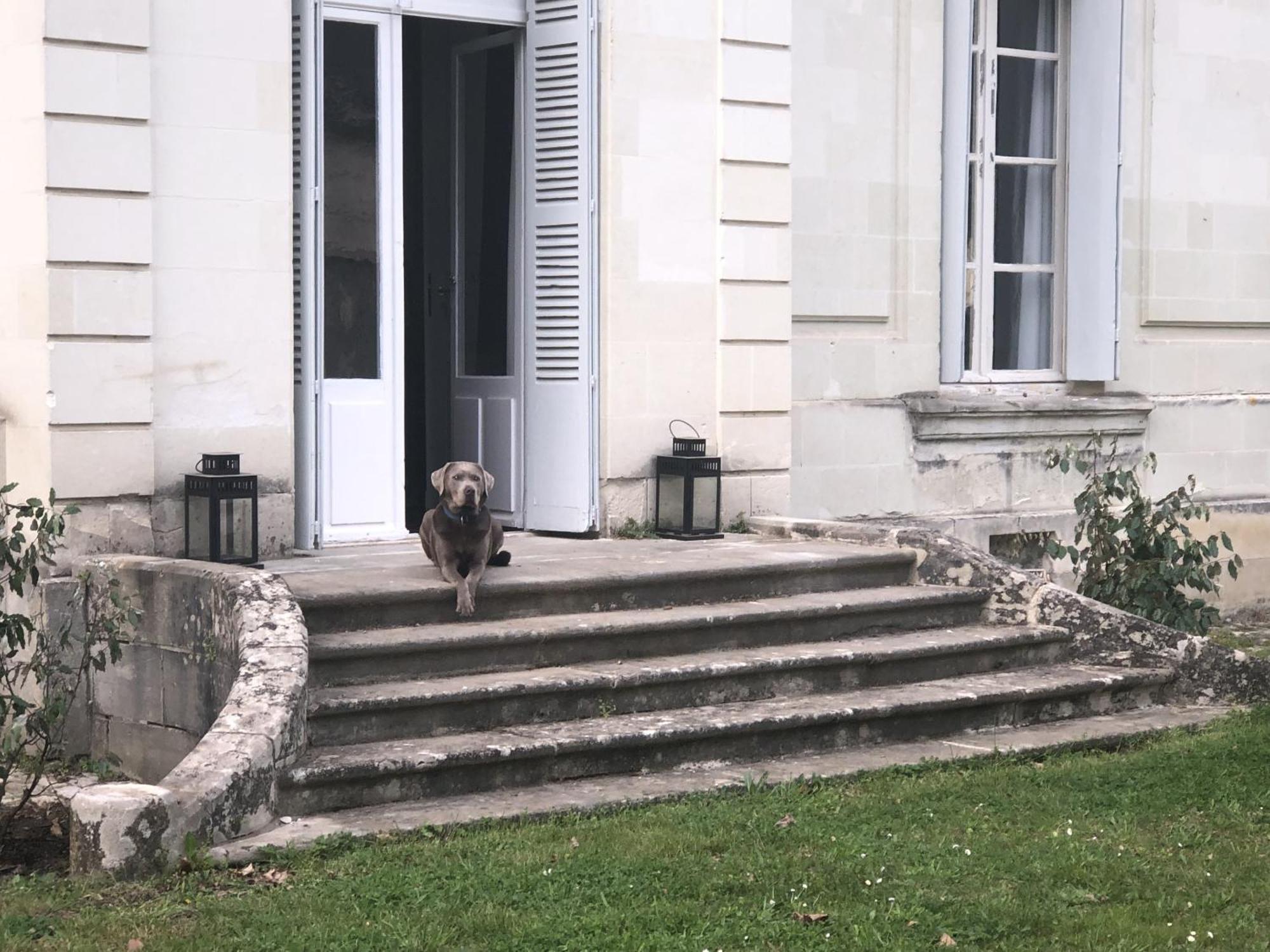 サン・シル・シュル・ロワール La Grande Carree Bed & Breakfast エクステリア 写真
